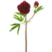 26" Real Touch Silk Peony Flower Stem -Burgundy (pack of 12) - FSP232-BU