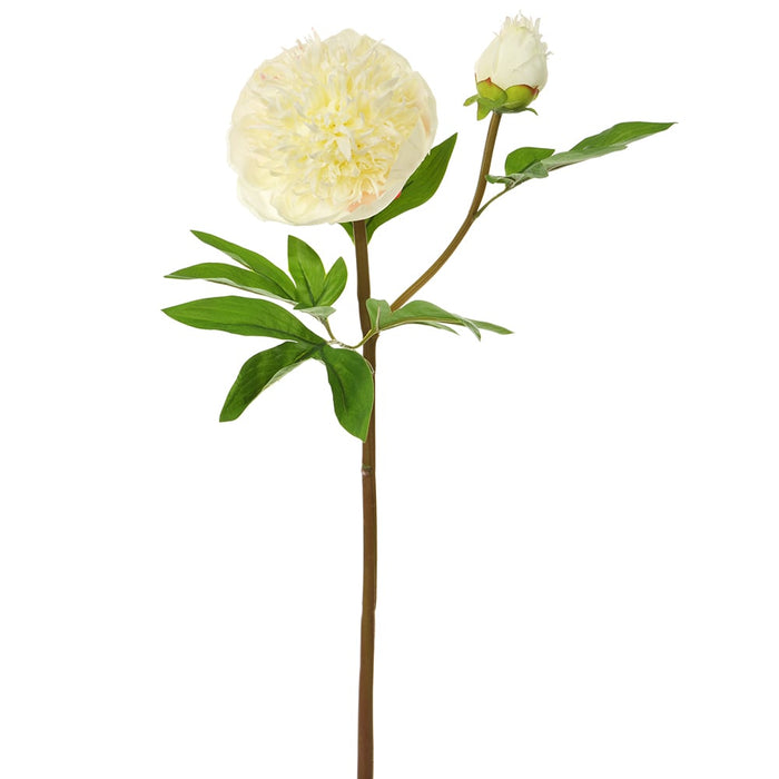 26" Real Touch Silk Peony Flower Stem -White (pack of 12) - FSP232-WH