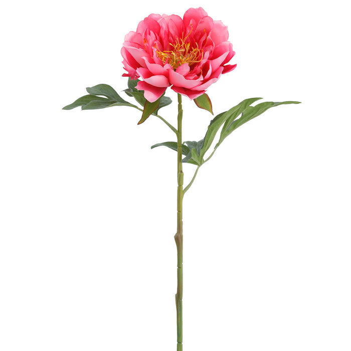 19.5" Peony Silk Flower Stem -Cerise (Pack of 12) - FSP245-CE