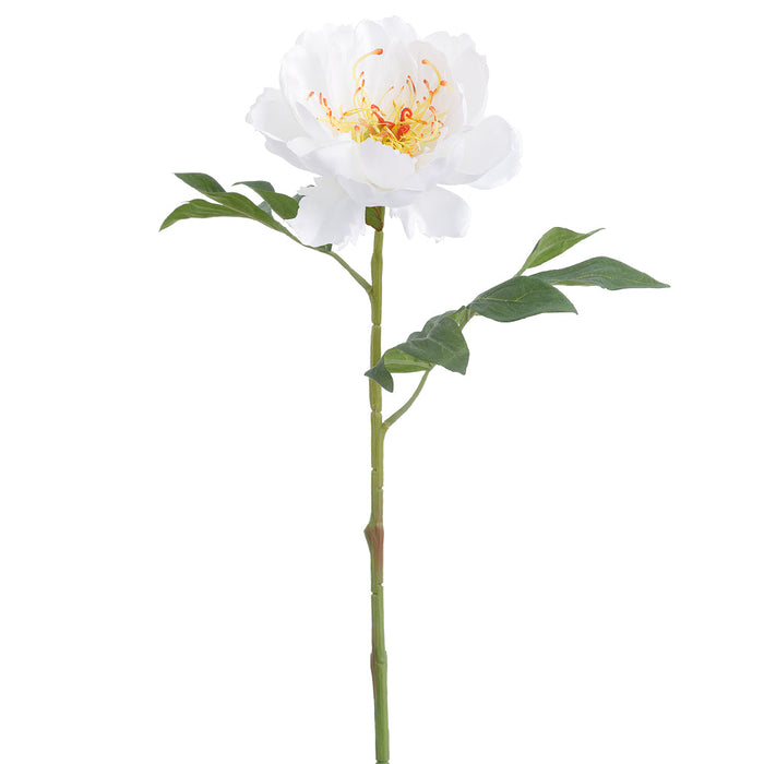 19.5" Peony Silk Flower Stem -Cream (Pack of 12) - FSP245-CR