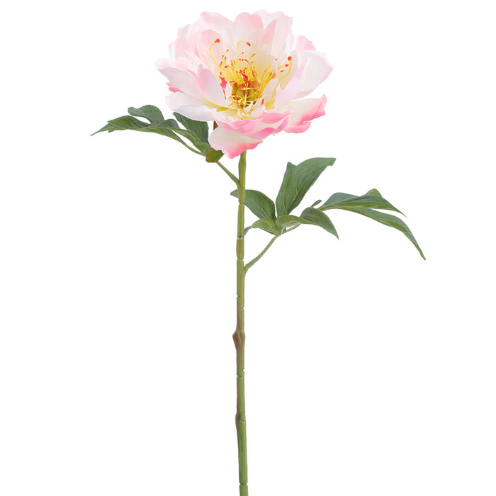 19.5" Peony Silk Flower Stem -Pink/Cream (Pack of 12) - FSP245-PK/CR