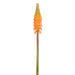 27" Red Hot Poker Silk Flower Stem -Flame/Green (pack of 12) - FSP270-FL/GR