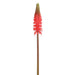 27" Red Hot Poker Silk Flower Stem -Red (Pack of 12) - FSP270-RE