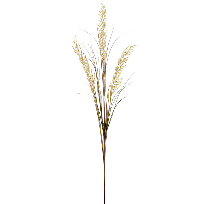 53.5" Blooming Artificial Pampas Grass Stem -Mauve/Green (Pack of 20) - FSP276-MV/GR