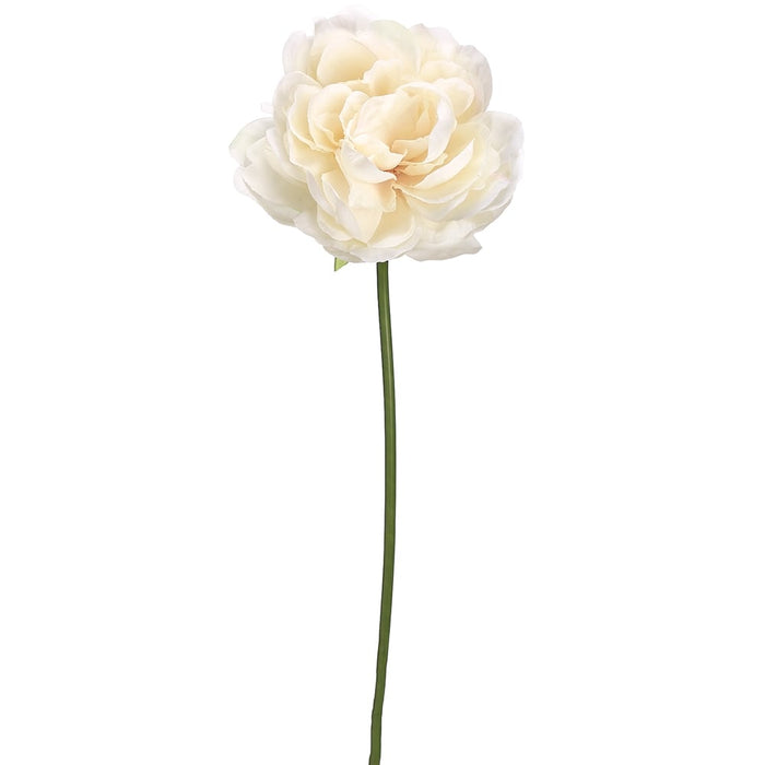 19" Faux Peony Silk Flower Stem -Cream/Blush (Pack of 12) - FSP302-CR/BS