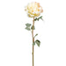 30.7" Silk Peony Flower Stem -Cream (pack of 12) - FSP308-CR