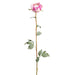 31.9" Silk Peony Flower Bud Stem -Boysenberry (pack of 12) - FSP316-BB