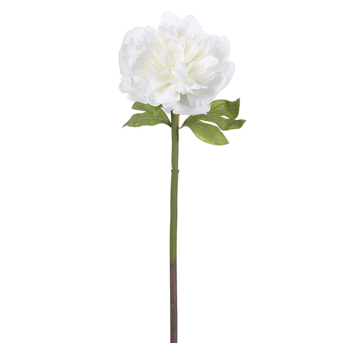 21" Silk Peony Flower Stem -White (pack of 12) - FSP325-WH