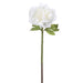 21" Silk Peony Flower Stem -White (pack of 12) - FSP325-WH
