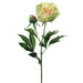 28" Silk Peony Flower Spray -2 Tone Green (pack of 12) - FSP355-GR/TT