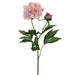 28" Silk Peony Flower Spray -2 Tone Pink (pack of 12) - FSP355-PK/TT