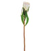 24.5" Protea Silk Flower Stem -Cream (pack of 12) - FSP375-CR