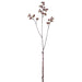 37.5" Cow Parsley Queen Anne's Lace Artificial Flower Stem -Brown (pack of 12) - FSP382-BR