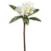 22" Frangipani Plumeria Silk Flower Stem -Cream/Yellow (pack of 12) - FSP383-CR/YE