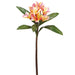 22" Frangipani Plumeria Silk Flower Stem -Pink/Yellow (pack of 12) - FSP383-PK/YE