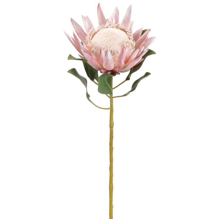 29" Protea Silk Flower Stem -Pink (Pack of 12) - FSP427-PK
