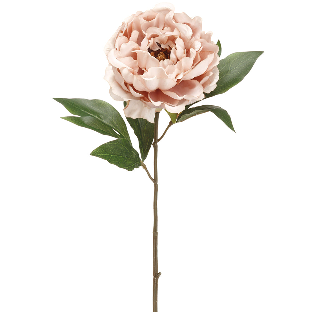 18.5" Silk Peony Flower Spray Beige Peony Stem — Silks Are Forever