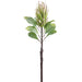 29" Protea Faux Flower Stem -Cream/Green (Pack of 12) - FSP436-CR/GR