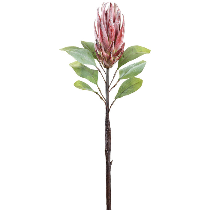 29" Protea Faux Flower Stem -Fuchsia/Green (Pack of 12) - FSP436-FU/GR