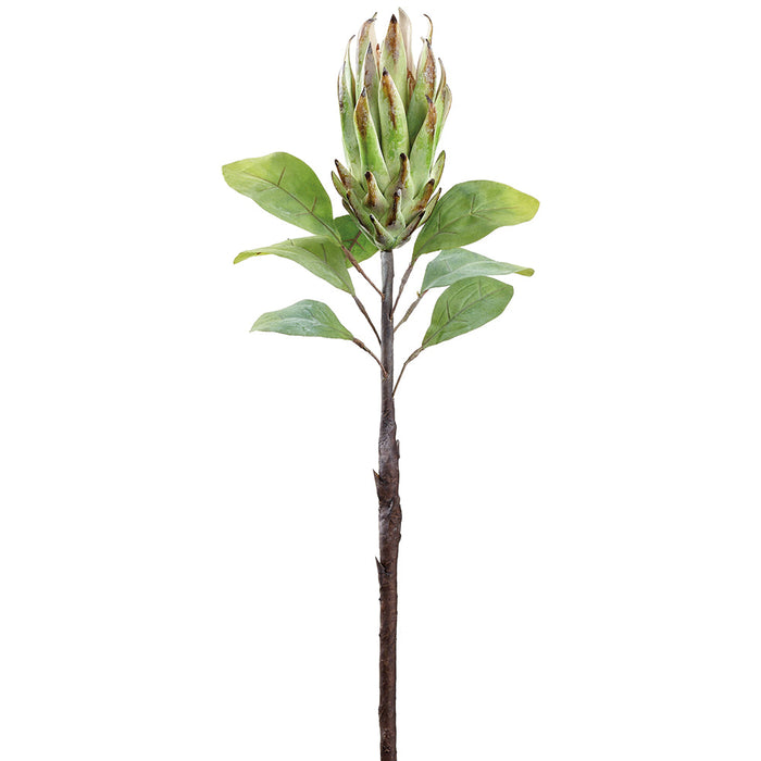 29" Protea Faux Flower Stem -Green (Pack of 12) - FSP436-GR