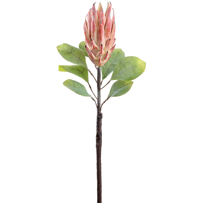 29" Protea Faux Flower Stem -Pink/Lime (Pack of 12) - FSP436-PK/LM