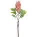 29" Protea Faux Flower Stem -Pink/Lime (Pack of 12) - FSP436-PK/LM