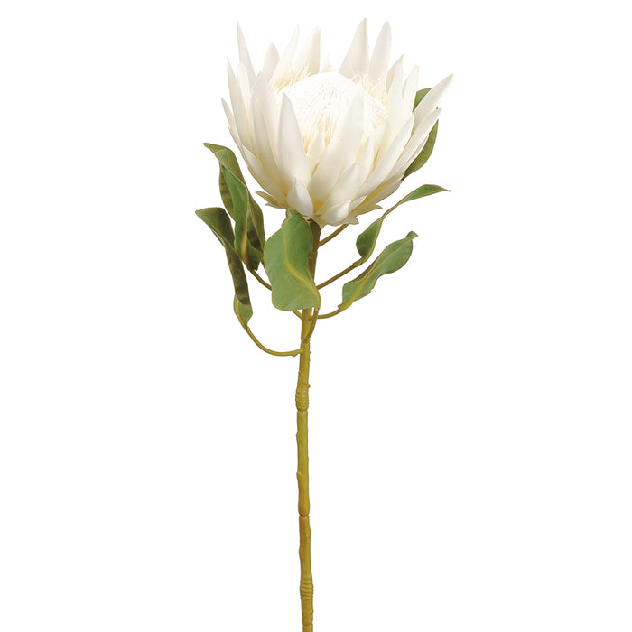29" Artificial King Protea Flower Stem -Cream (pack of 12) - FSP440-CR