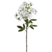 19.5" Dianthus Silk Flower Stem -White (Pack of 12) - FSP441-WH