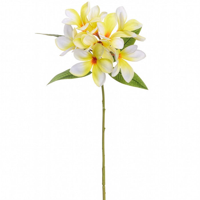 35.5" Frangipani Plumeria Silk Flower Stem -Cream (Pack of 12) - FSP462-CR