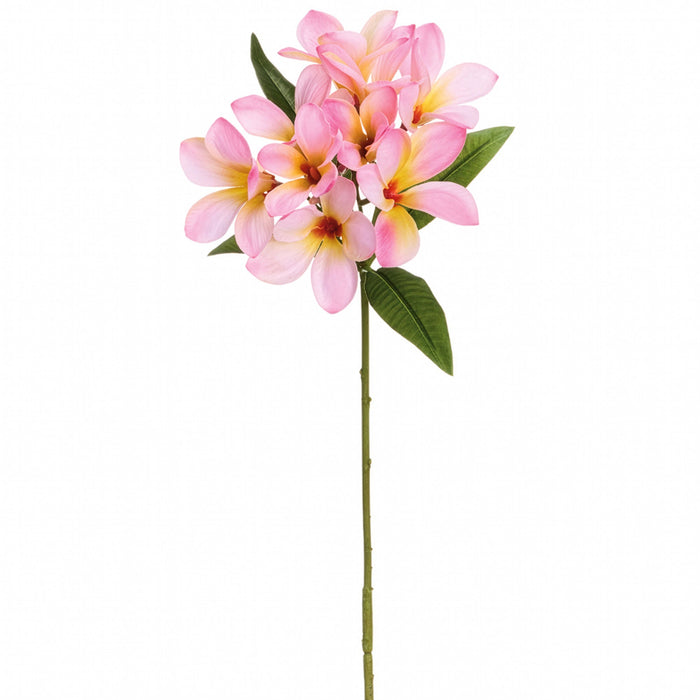 35.5" Frangipani Plumeria Silk Flower Stem -Pink (Pack of 12) - FSP462-PK