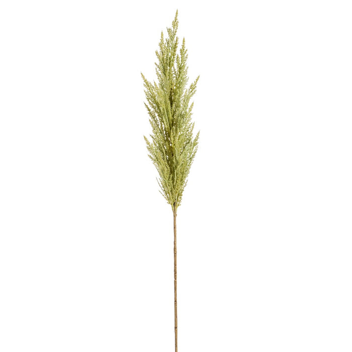 46" Artificial Pampas Grass Stem -Green (pack of 6) - FSP464-GR