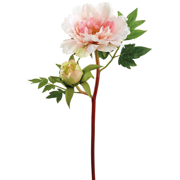18" Peony Silk Flower Stem -Pink/Blush (Pack of 12) - FSP476-PK/BS