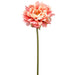 19" Peony Silk Flower Stem -Coral (pack of 12) - FSP501-CO
