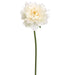 19" Peony Silk Flower Stem -Cream/Blush (pack of 12) - FSP501-CR/BS