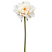 19" Peony Silk Flower Stem -Cream (pack of 12) - FSP501-CR