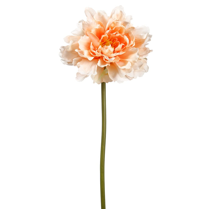 19" Peony Silk Flower Stem -Peach (pack of 12) - FSP501-PE