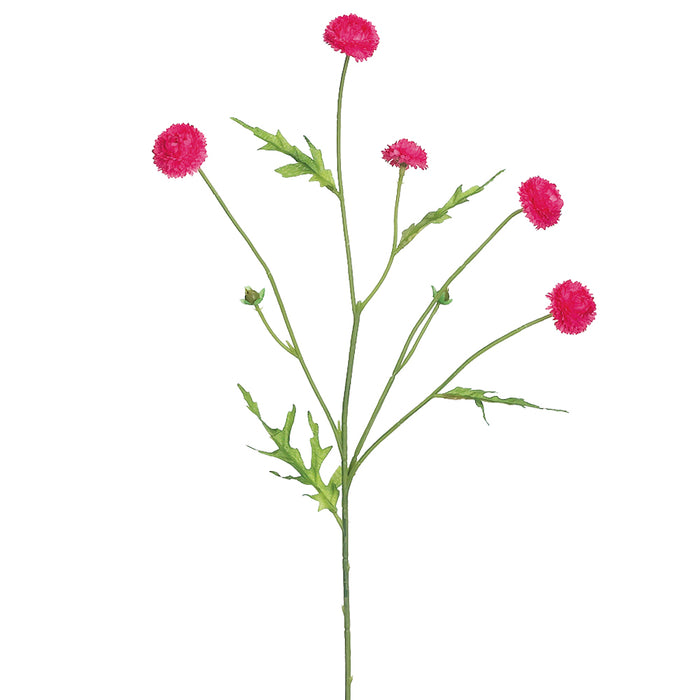 23.5" Wild Pompom Silk Flower Stem -Beauty (Pack of 24) - FSP503-BT