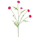 23.5" Wild Pompom Silk Flower Stem -Beauty (Pack of 24) - FSP503-BT