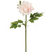 23.5" Real Touch Silk Peony Flower Stem -Blush (pack of 12) - FSP511-BS