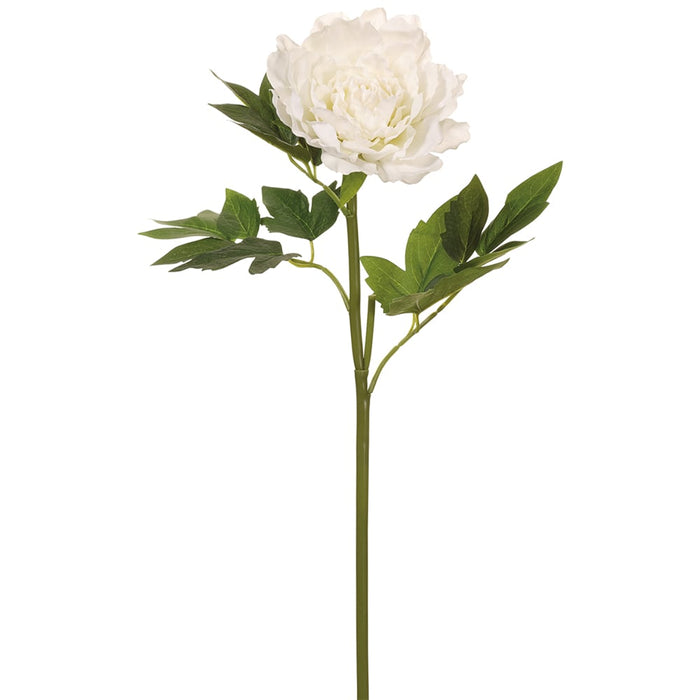 23.5" Real Touch Silk Peony Flower Stem -White (pack of 12) - FSP511-WH