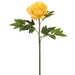 23.5" Real Touch Silk Peony Flower Stem -Yellow (pack of 12) - FSP511-YE
