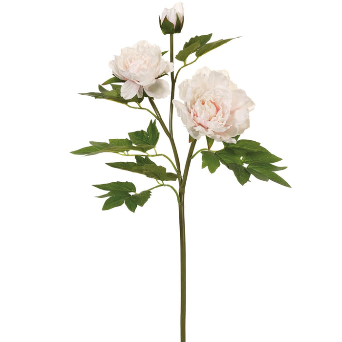 26.75" Real Touch Silk Peony Flower Stem -Blush (pack of 12) - FSP513-BS