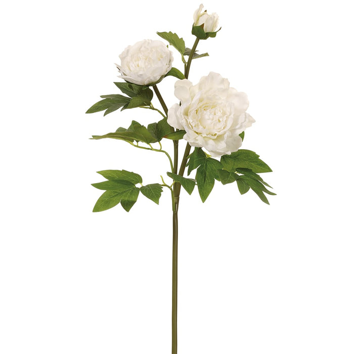 26.75" Real Touch Silk Peony Flower Stem -White (pack of 12) - FSP513-WH