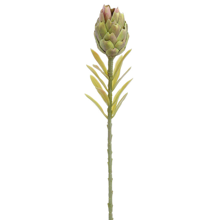 22" Protea Silk Flower Stem -Green/Brown (Pack of 12) - FSP550-GR/BR