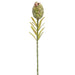 22" Protea Silk Flower Stem -Green/Brown (Pack of 12) - FSP550-GR/BR