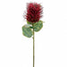 22" Protea Silk Flower Stem -Burgundy (Pack of 12) - FSP570-BU