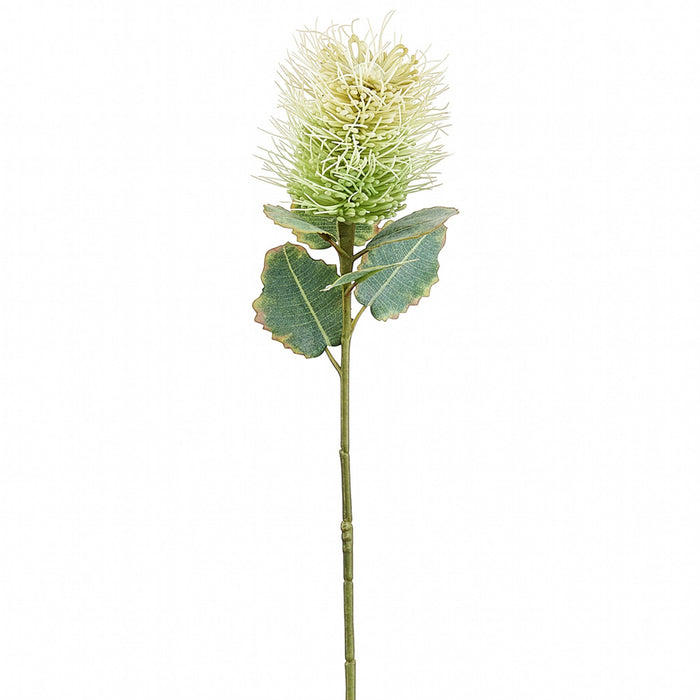 22" Protea Silk Flower Stem -Cream (Pack of 12) - FSP570-CR