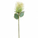22" Protea Silk Flower Stem -Cream (Pack of 12) - FSP570-CR