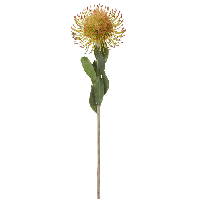 23" Needle Protea Silk Flower Stem -2 Tone Green (Pack of 12) - FSP624-GR/TT