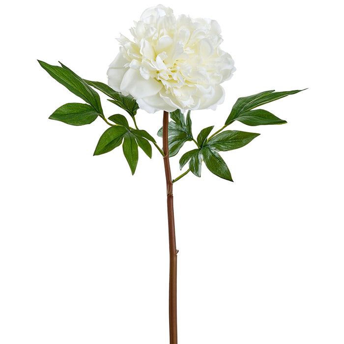 26" Real Touch Peony Silk Flower Stem -White (Pack of 12) - FSP627-WH